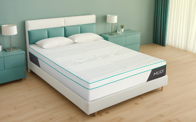 Mlily Deluxe 3000 Mattress