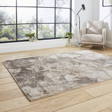 Florence 50032 Rug Beige/Silver
