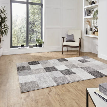 Turin 20623 Rug Beige