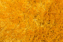 Austin Rug YELLOW