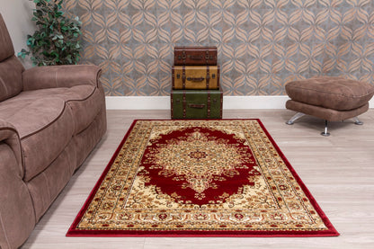 Timeless Medallion Rug
