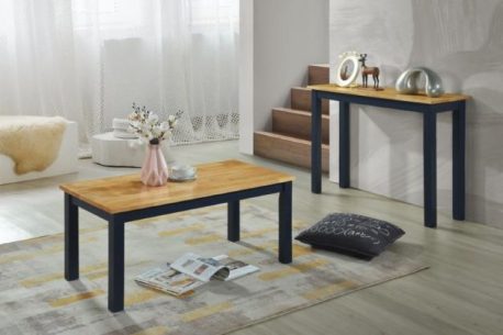 Columbia Console Table in Navy/Oak