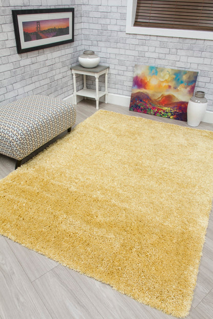 Shaggy Rug