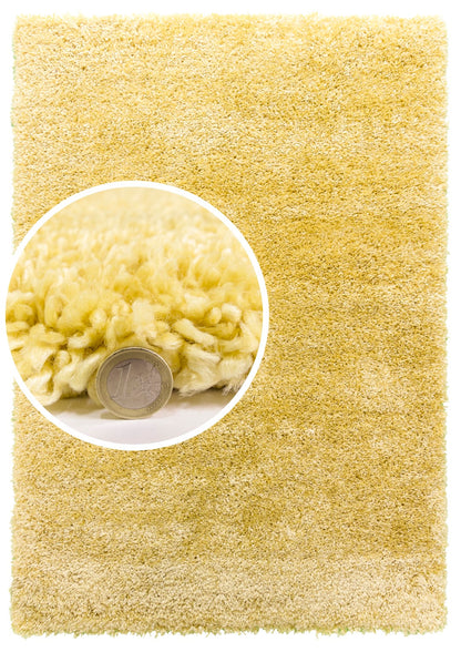 Shaggy Rug