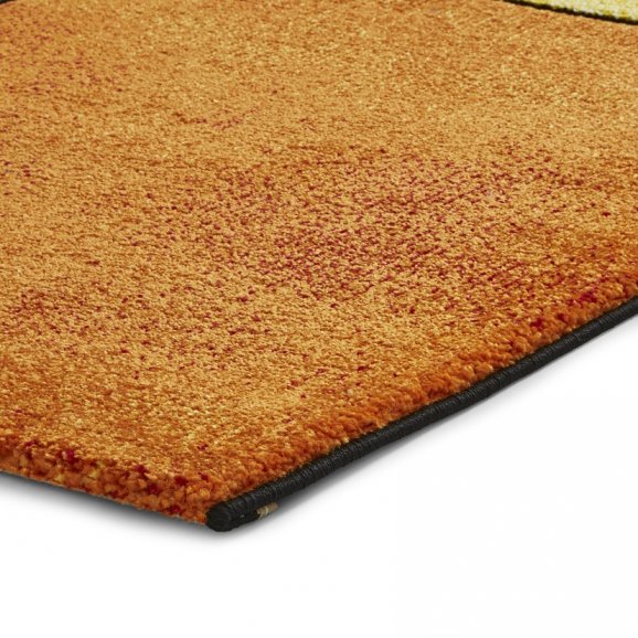 Sunrise Rug 21821 Multi