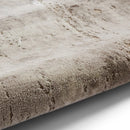 Florence 50034 Rug Beige/Silver