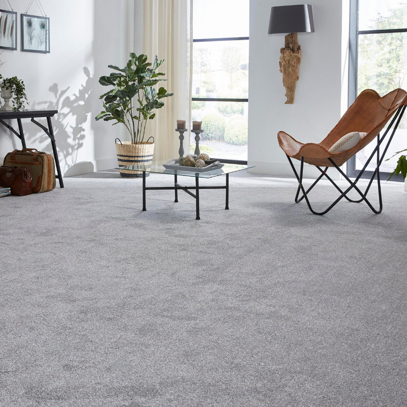 Grey Carpet