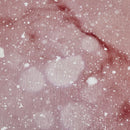 Shelly OS0077 Rug Rose